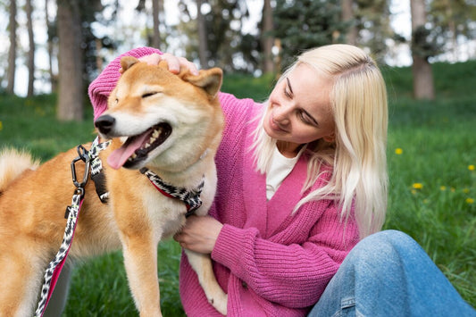 Futuristic Vision: Cross-Industry Integration of Pet Hardware
